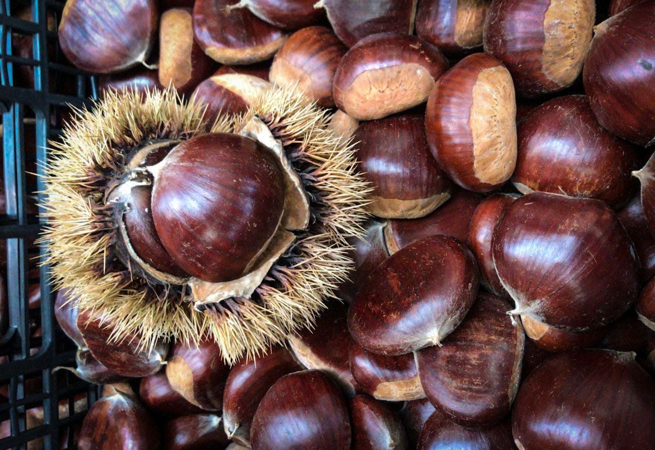 Castagne Biologiche: Proprietà, Benefici e Ricette